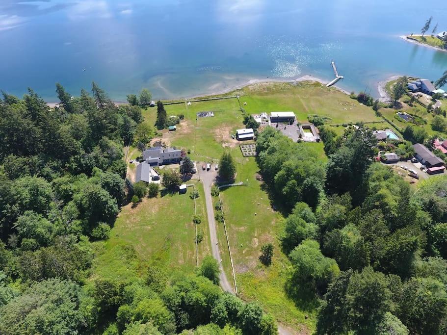 Oceanfront Studio/Loft: Alpacas, Oysters & Kayaks شيلتون المظهر الخارجي الصورة