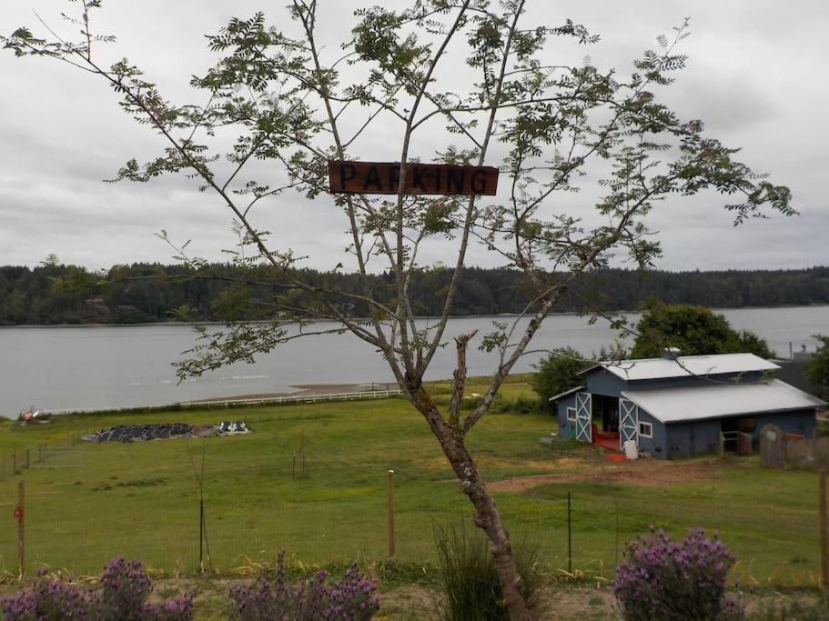 Oceanfront Studio/Loft: Alpacas, Oysters & Kayaks شيلتون المظهر الخارجي الصورة