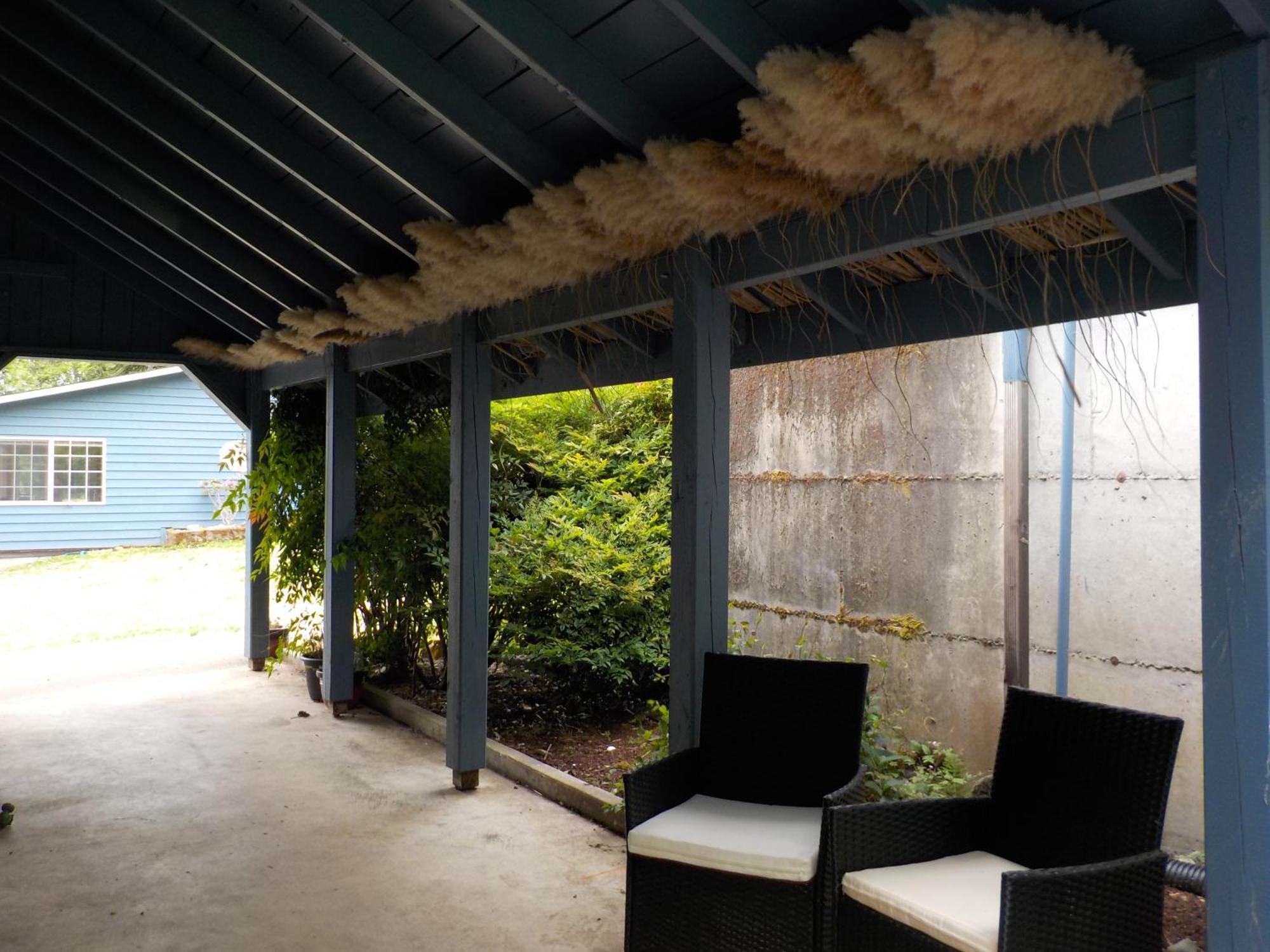 Oceanfront Studio/Loft: Alpacas, Oysters & Kayaks شيلتون المظهر الخارجي الصورة