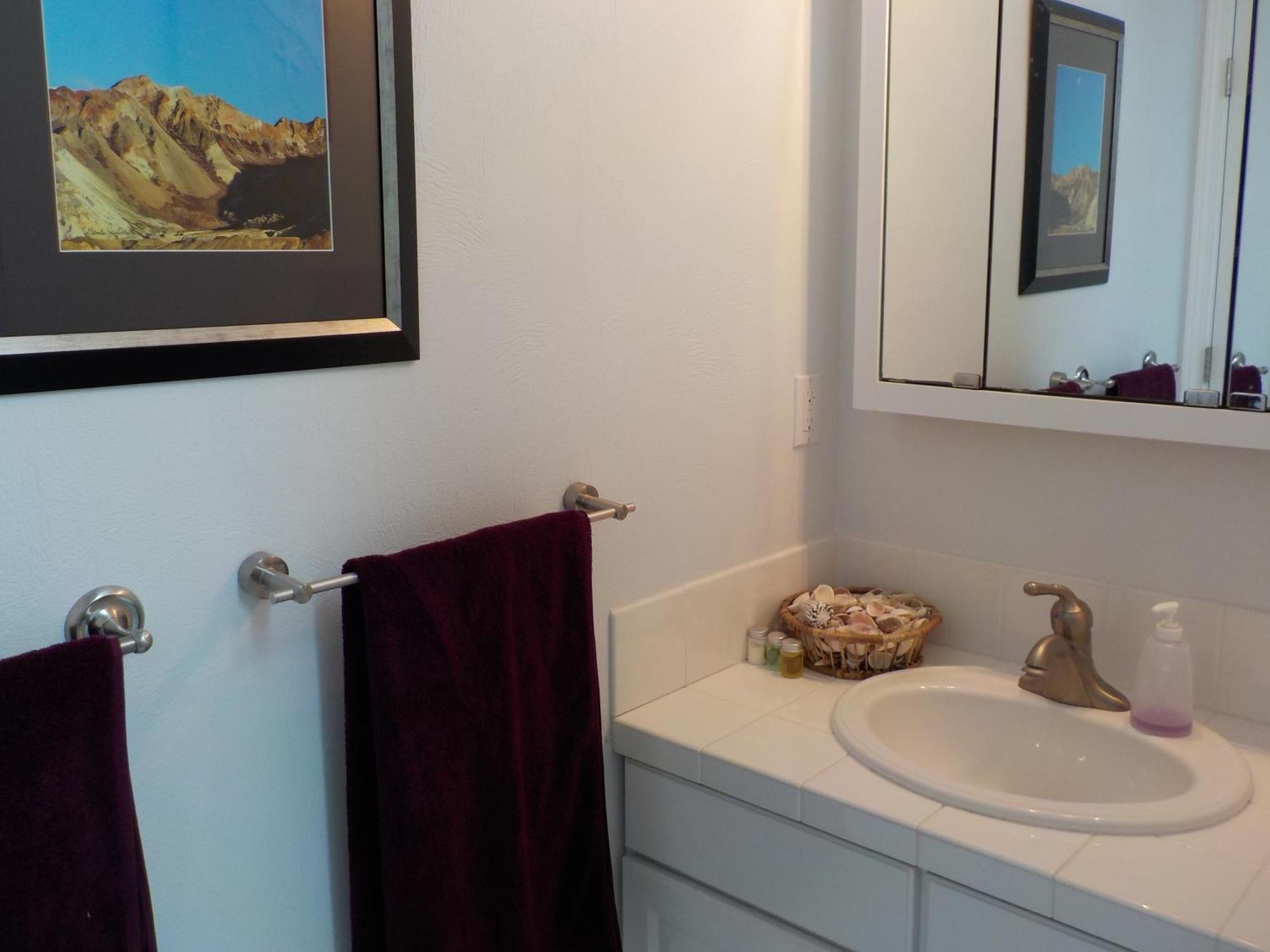 Oceanfront Studio/Loft: Alpacas, Oysters & Kayaks شيلتون المظهر الخارجي الصورة